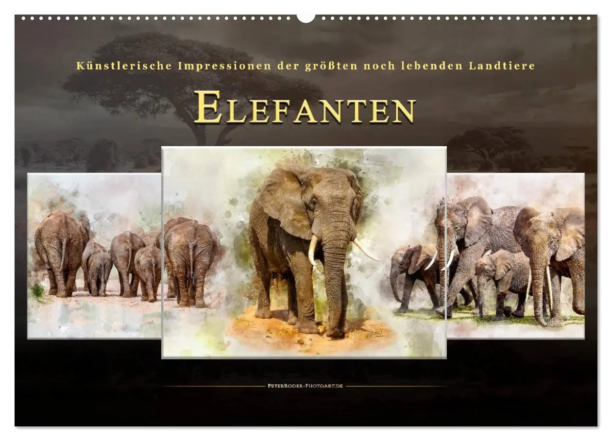 Cover: 9783457929018 | Elefanten - künstlerische Impressionen der größten noch lebenden...